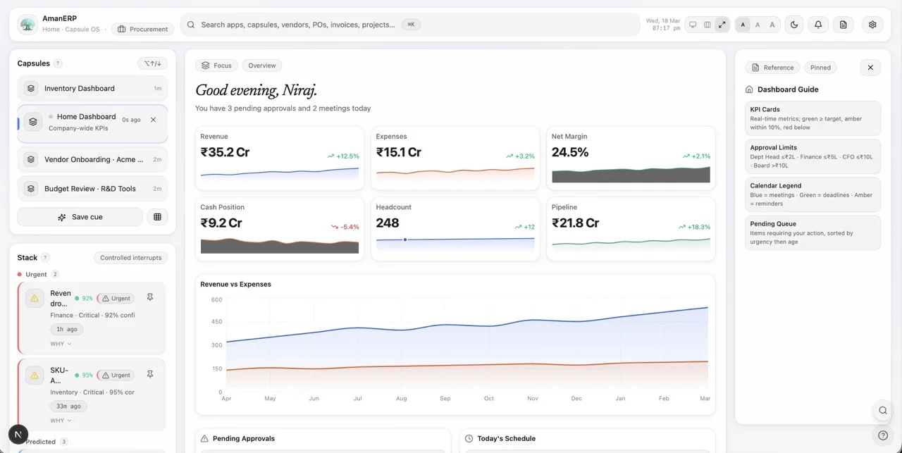 AmanERP home interface study with India-locale sample metrics and work areas
